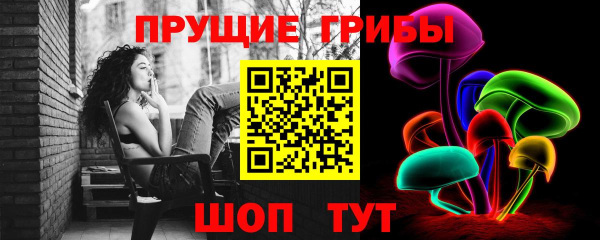 Псилоцибиновые грибы GOLDEN TEACHER Добрянка